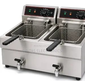 Double Electric Fryer