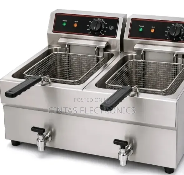 Double Electric Fryer
