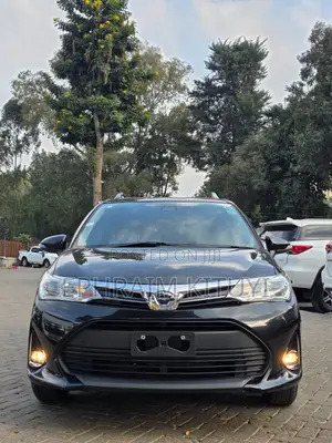 Toyota Corolla Fielder 2021 Black