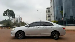 Toyota Premio 2009 Silver