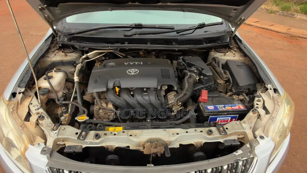 Toyota Premio 2009 Silver