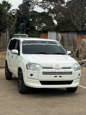 Toyota Succeed 2020 White