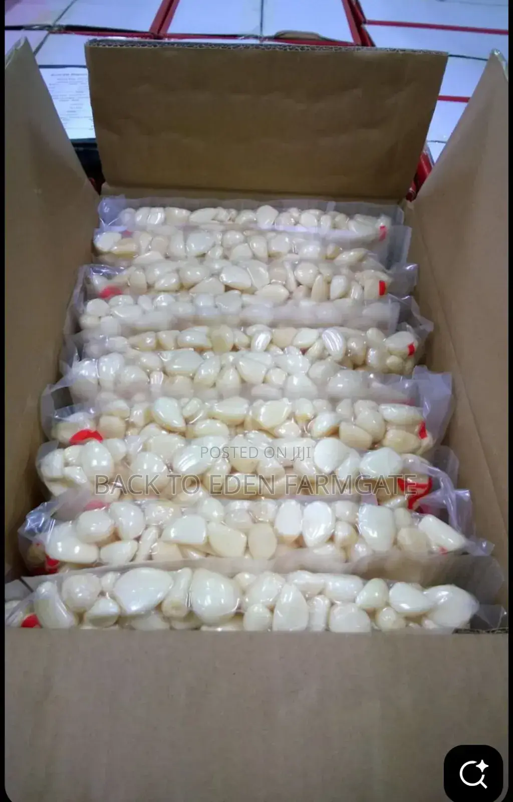 Red Bulb Onions