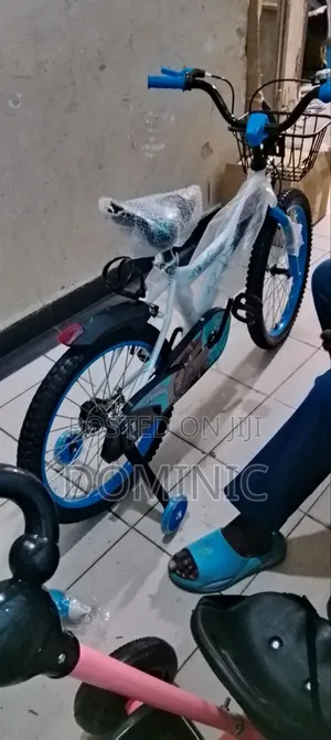 Spider Bicycle Size 20
