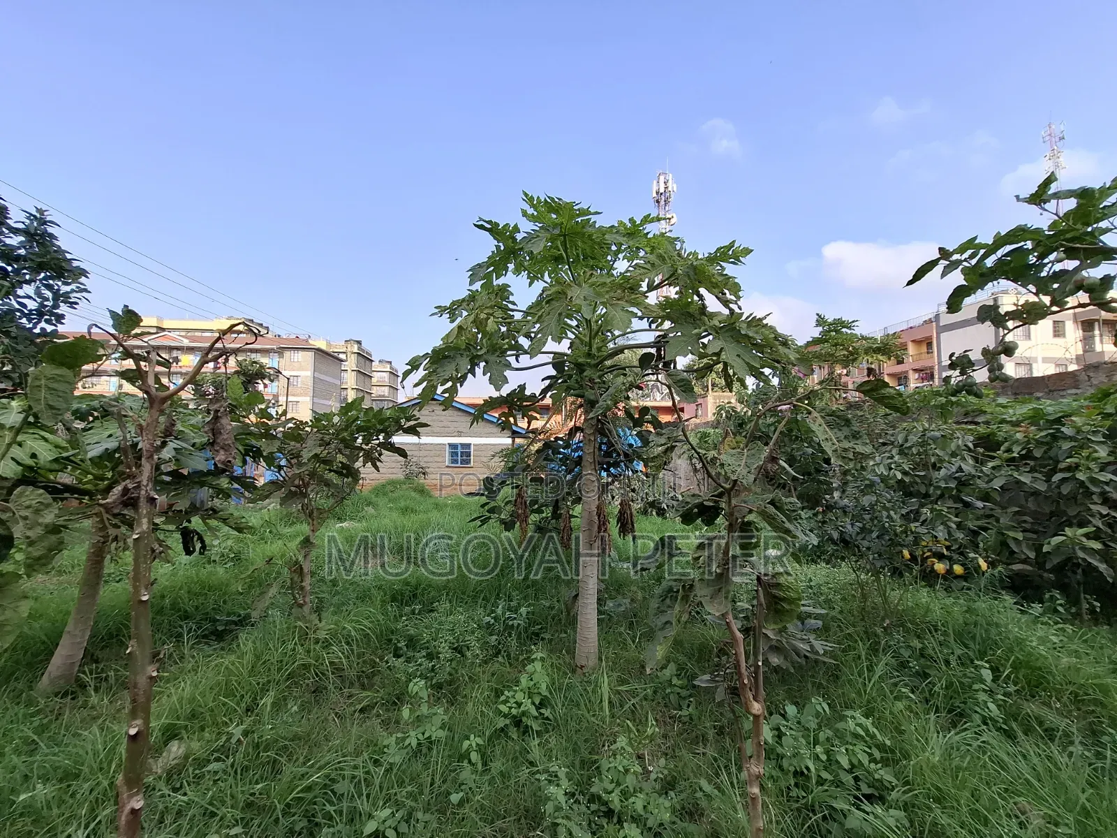 3bdrm Bungalow in Kinoo for rent