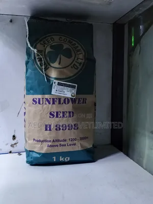 Sunflower Seeds H8998 1kg