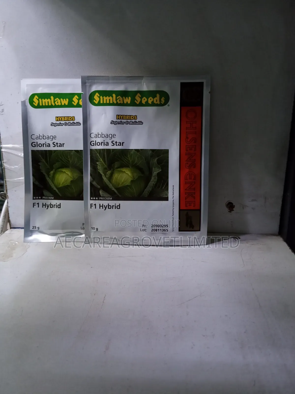 Cabbage Gloria Star F1 Hybrid Seeds 10g, 25g