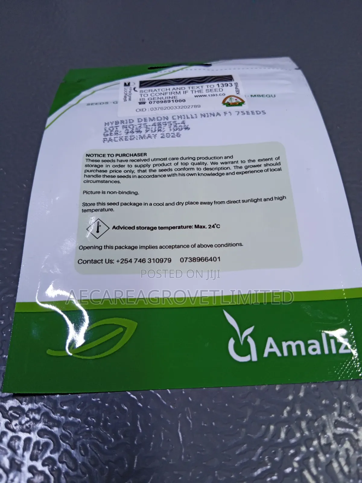 Demon Chilli Seeds ( 7seeds )