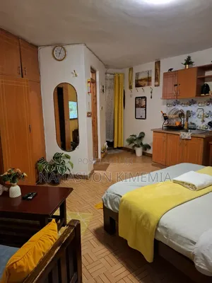 Warm Sunny Nest Studio TRM Drive Roysambu Thika Road Nairobi