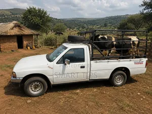 Transport Services