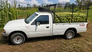 Transport Services
