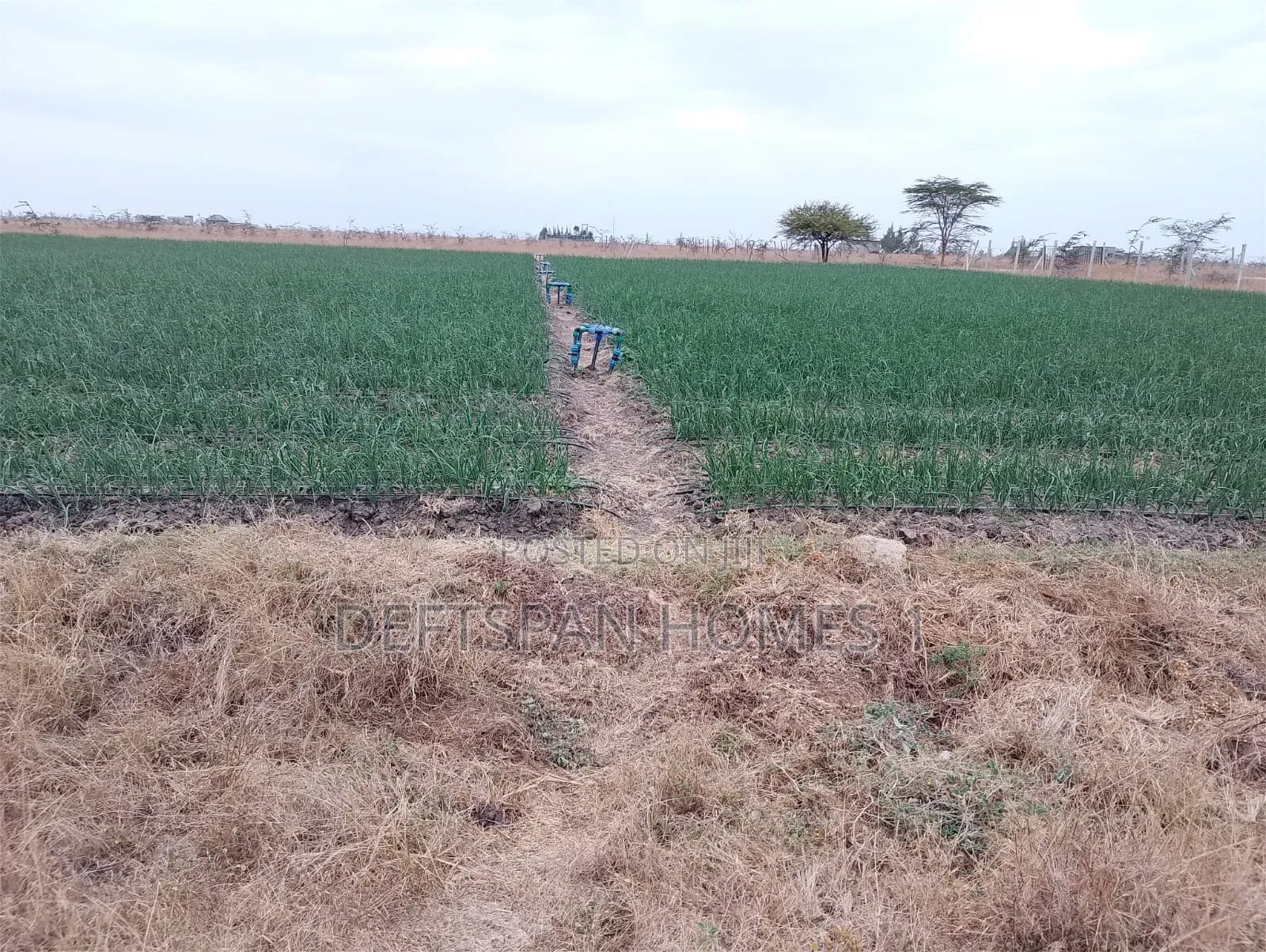 1Acre and Above