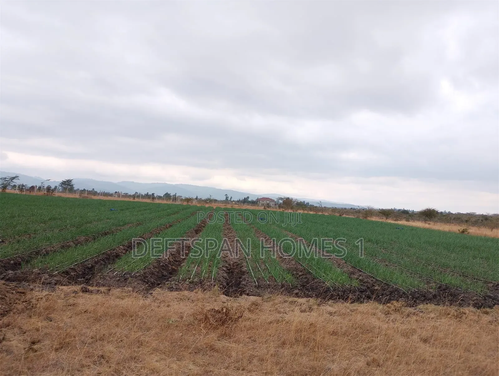 1Acre and Above