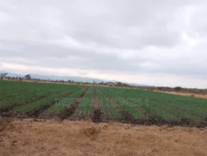 1Acre and Above