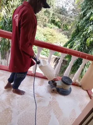 Sofa and Cushion Cleaning