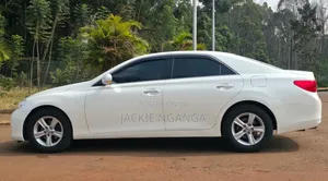 Toyota Mark X 2010 White