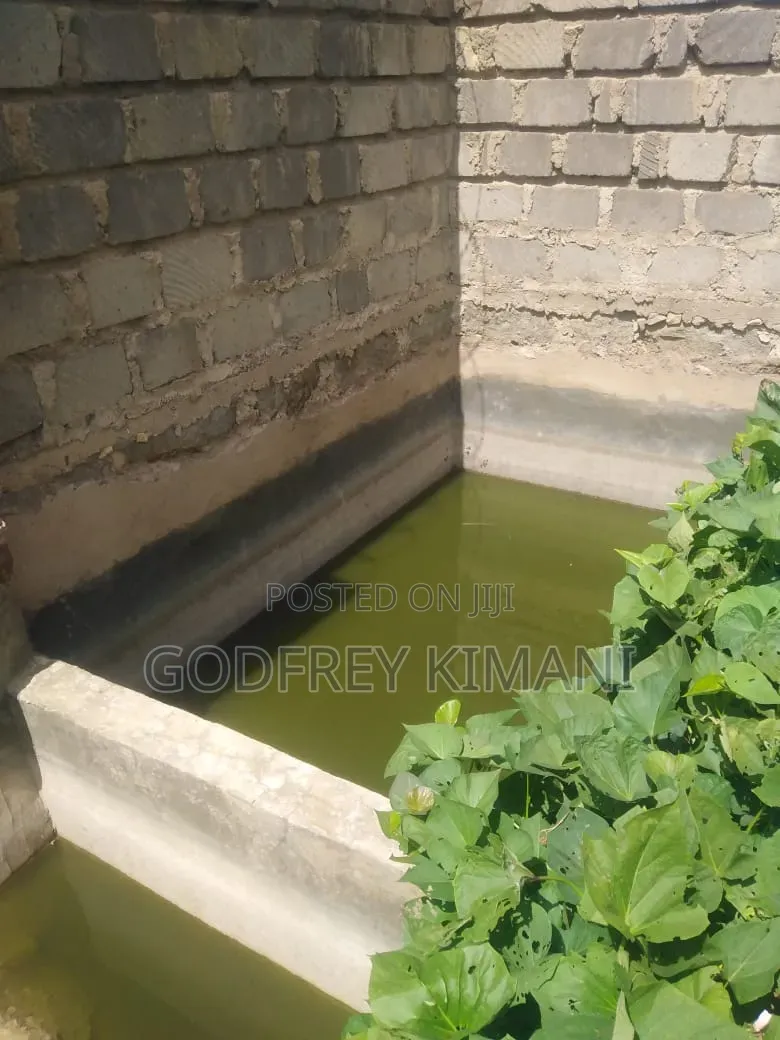 Furnished 4bdrm House in Githima Estate, Thika for sale