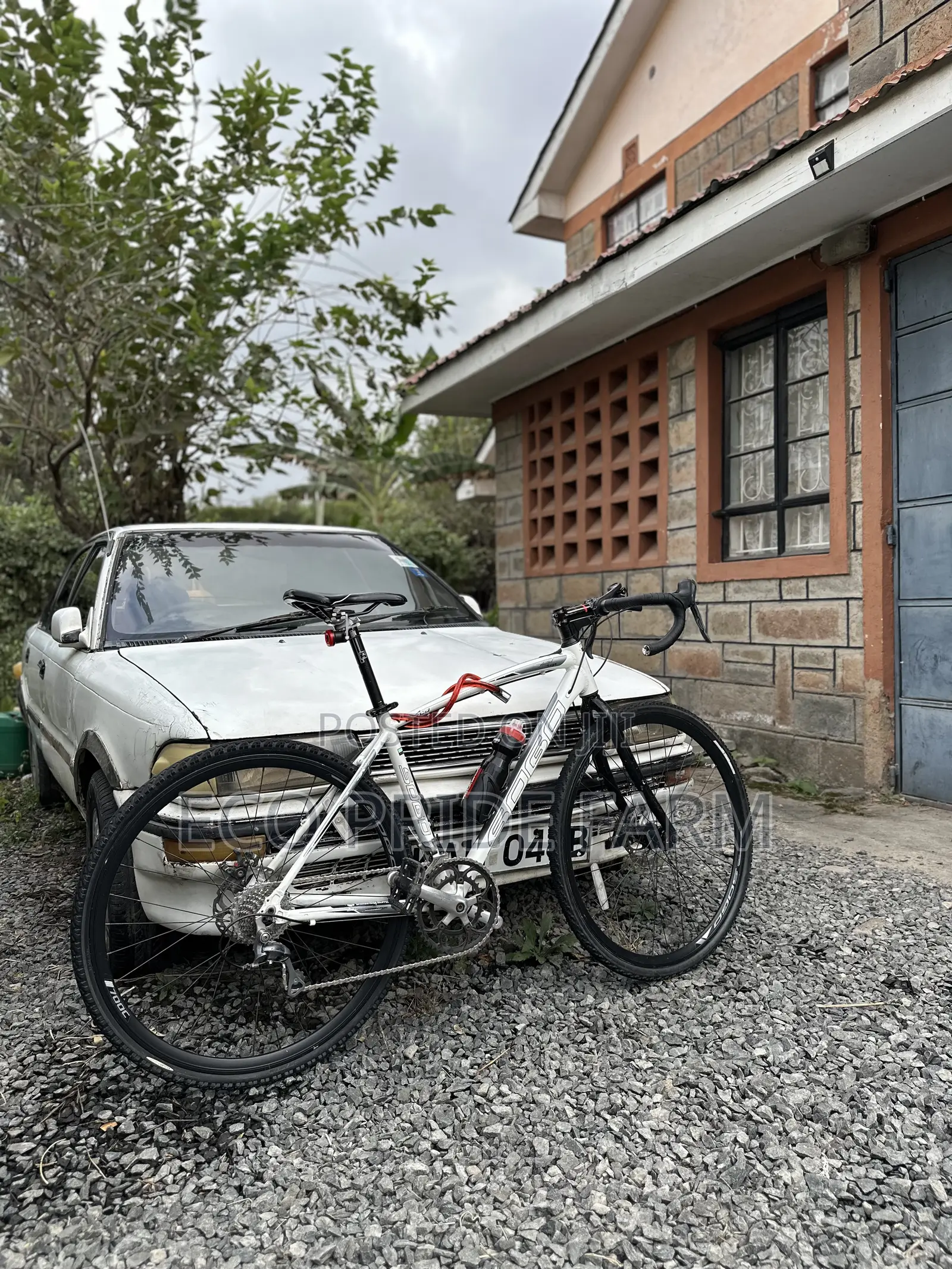 Gravel Bicycle