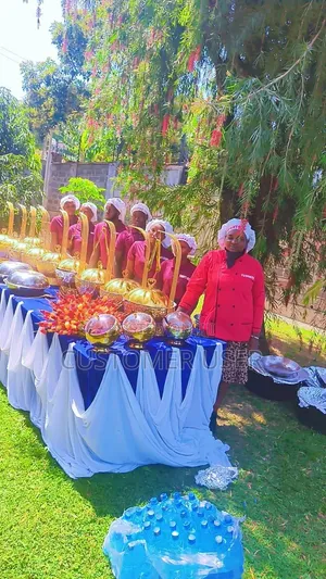 Professional Party, Catering and Event Services