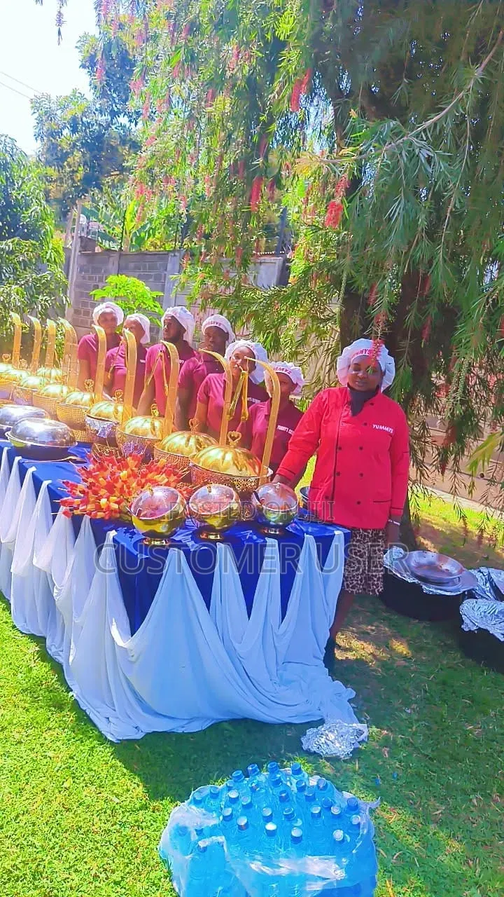 Professional Party, Catering and Event Services