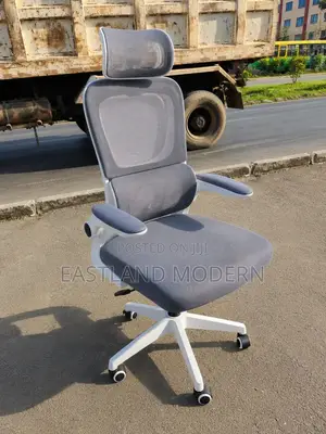 Ergonomic High-Back Office Chair With Headrest
