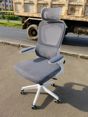 Ergonomic High-Back Office Chair With Headrest