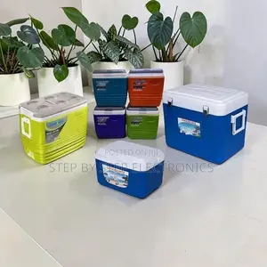 Picnic Ready Premium 4.5L,10L, 25L,32L Portable Cooler Box Ice Box