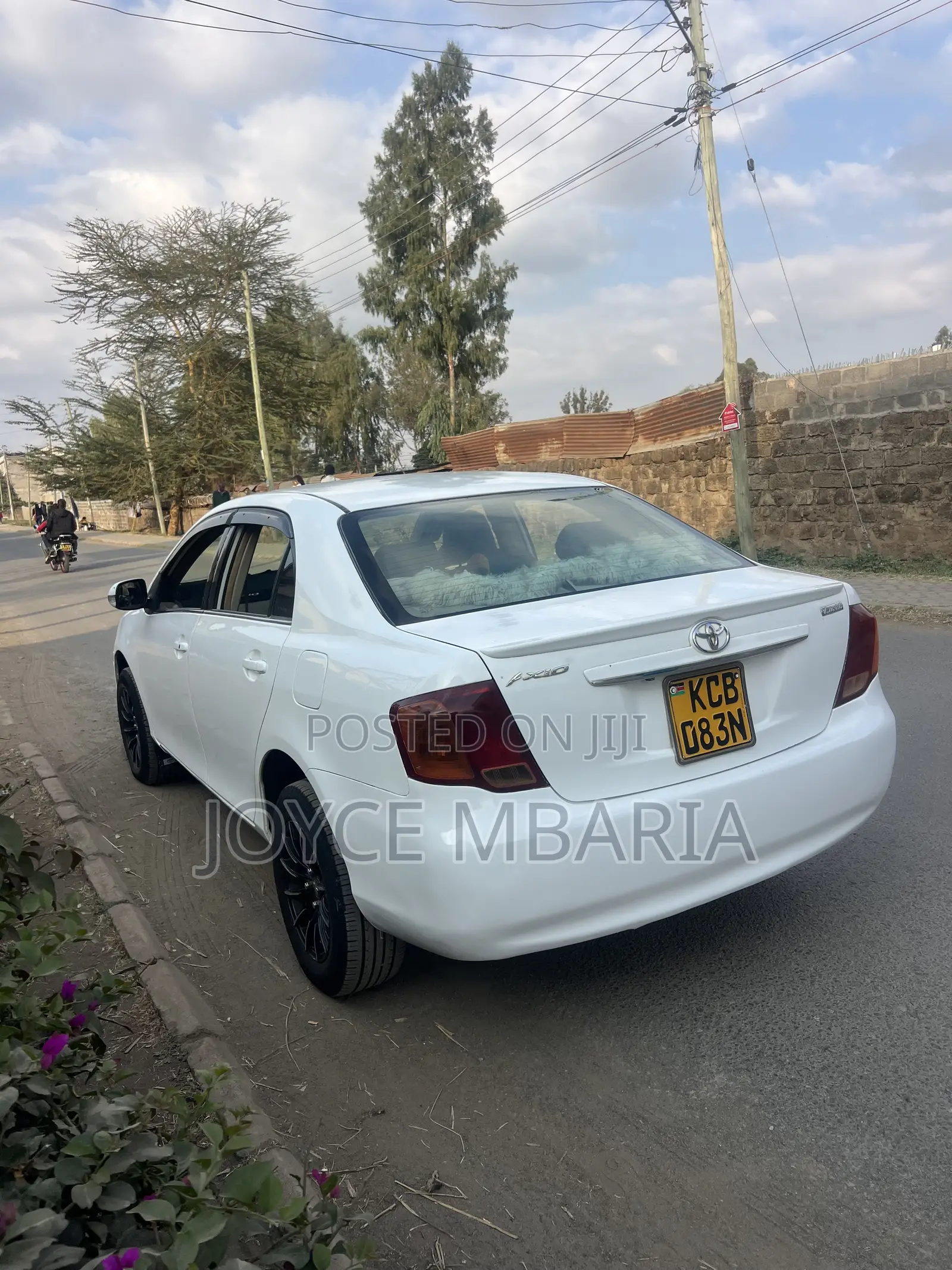 Toyota Axio 2009 Pearl