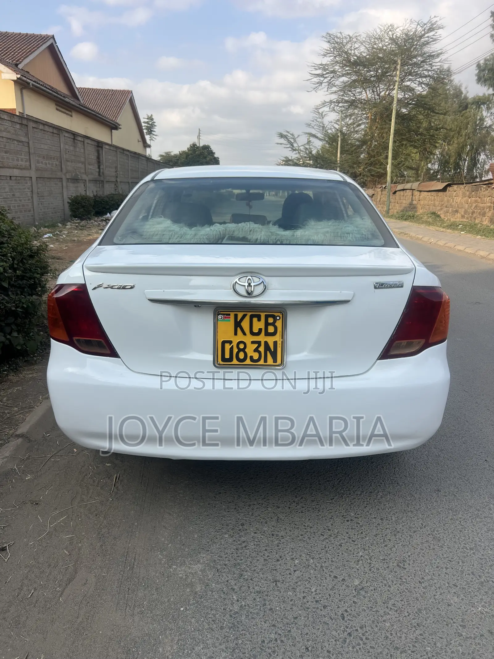 Toyota Axio 2009 Pearl