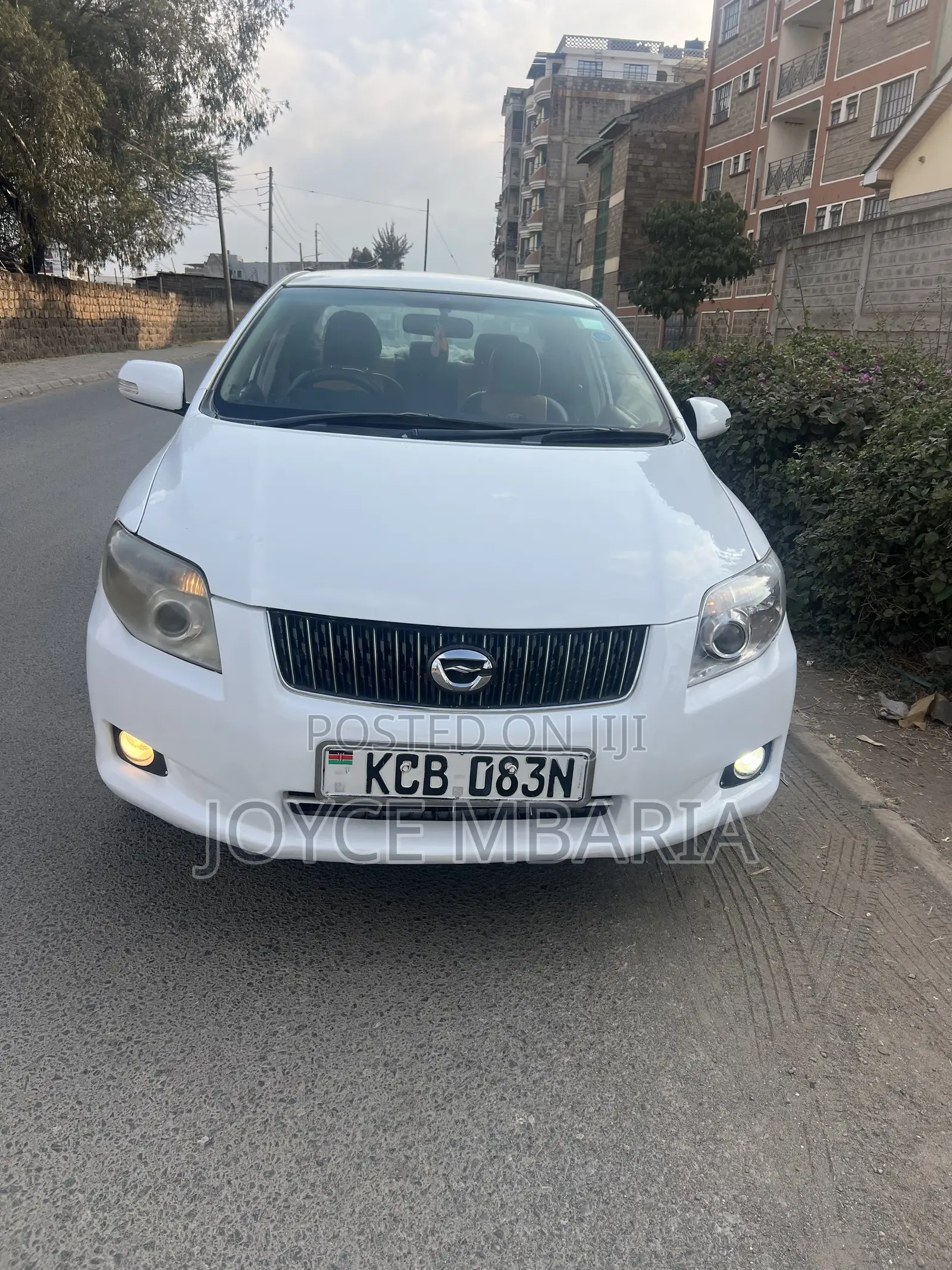 Toyota Axio 2009 Pearl