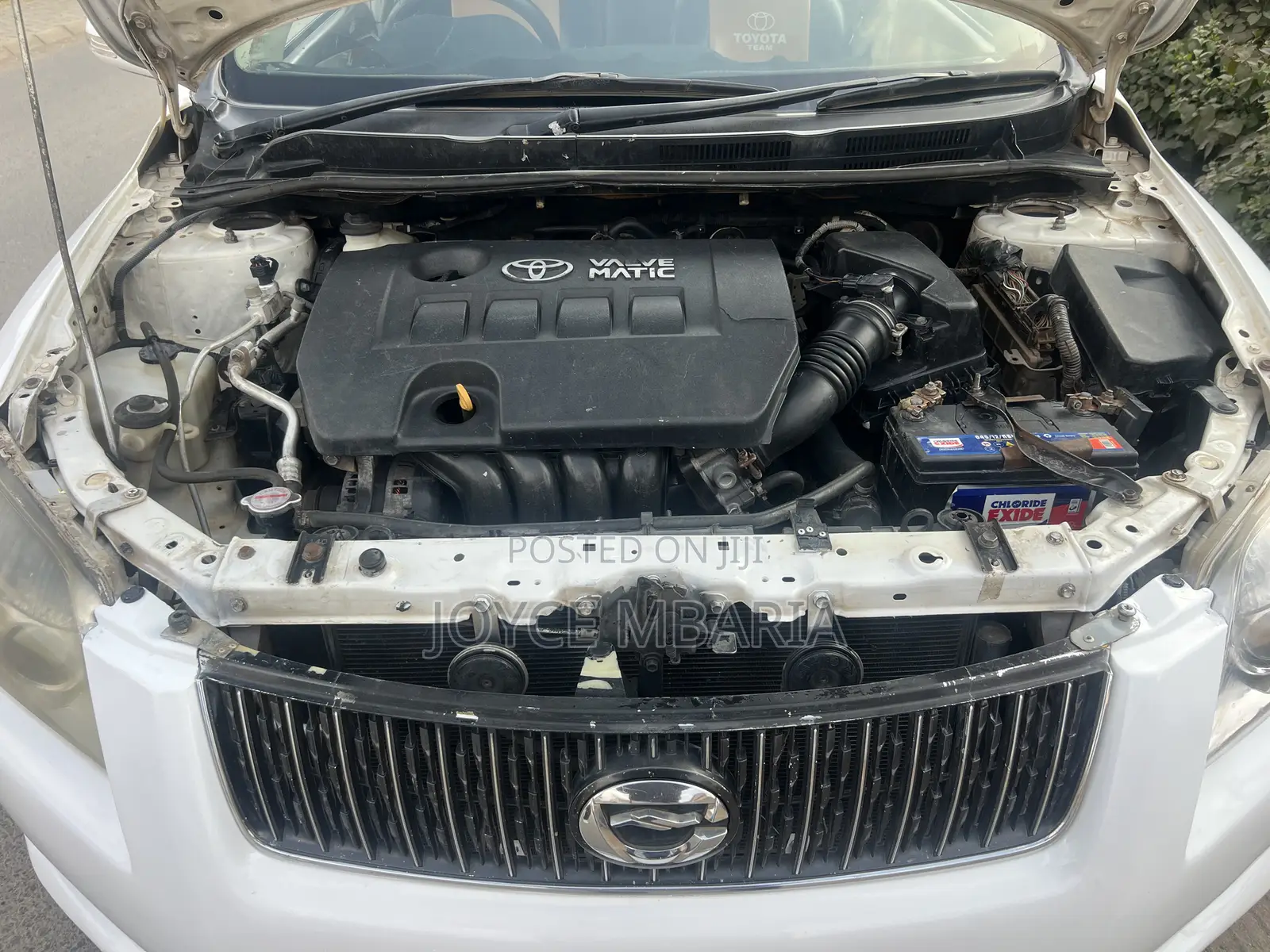 Toyota Axio 2009 Pearl