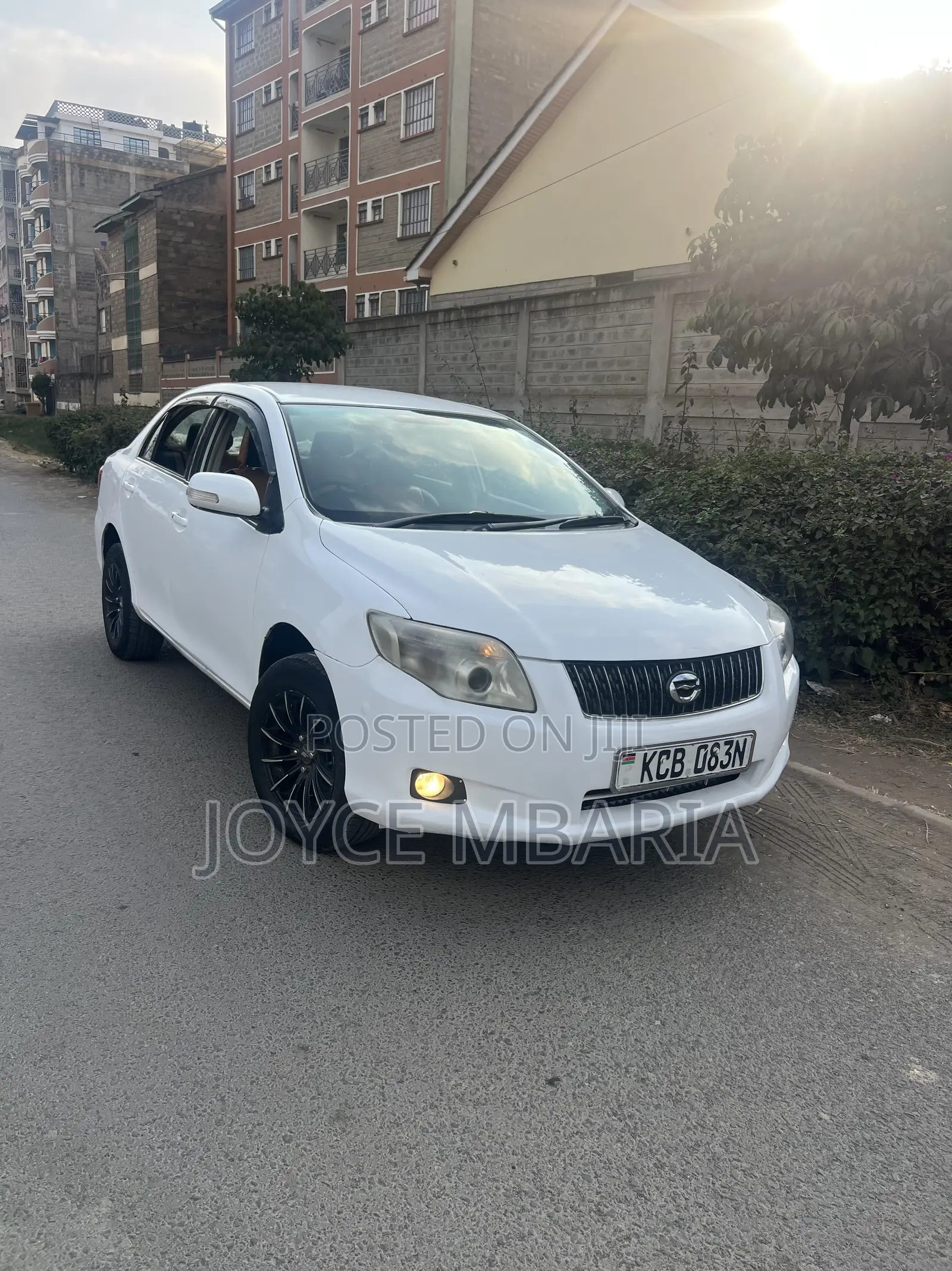 Toyota Axio 2009 Pearl