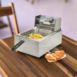 Modern 4l/6l/10l Electric Single Tank Stainless Steel Deep Fryer