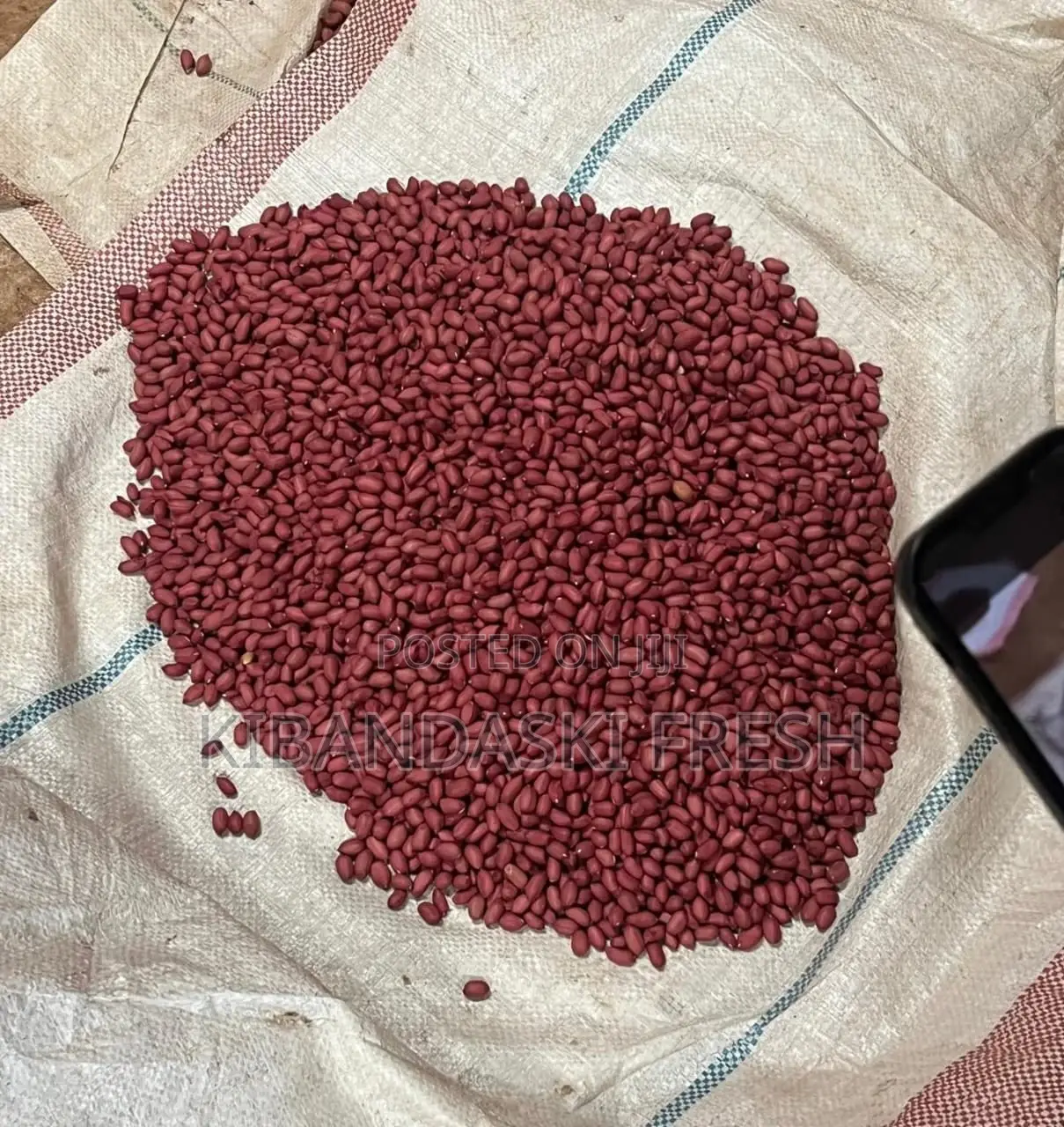Ground Nuts