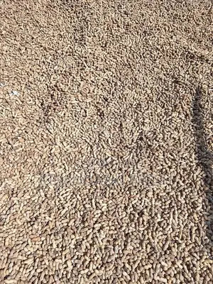 Ground Nuts