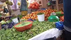 Fresh Tomatoes