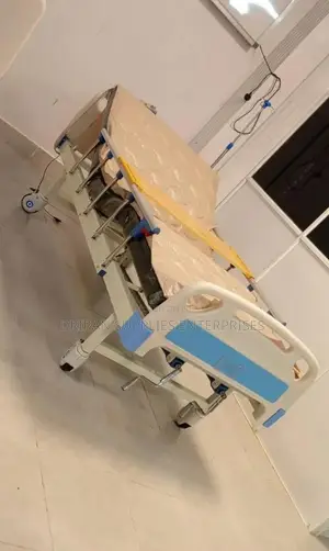 Double Crank Abs Hospital Bed