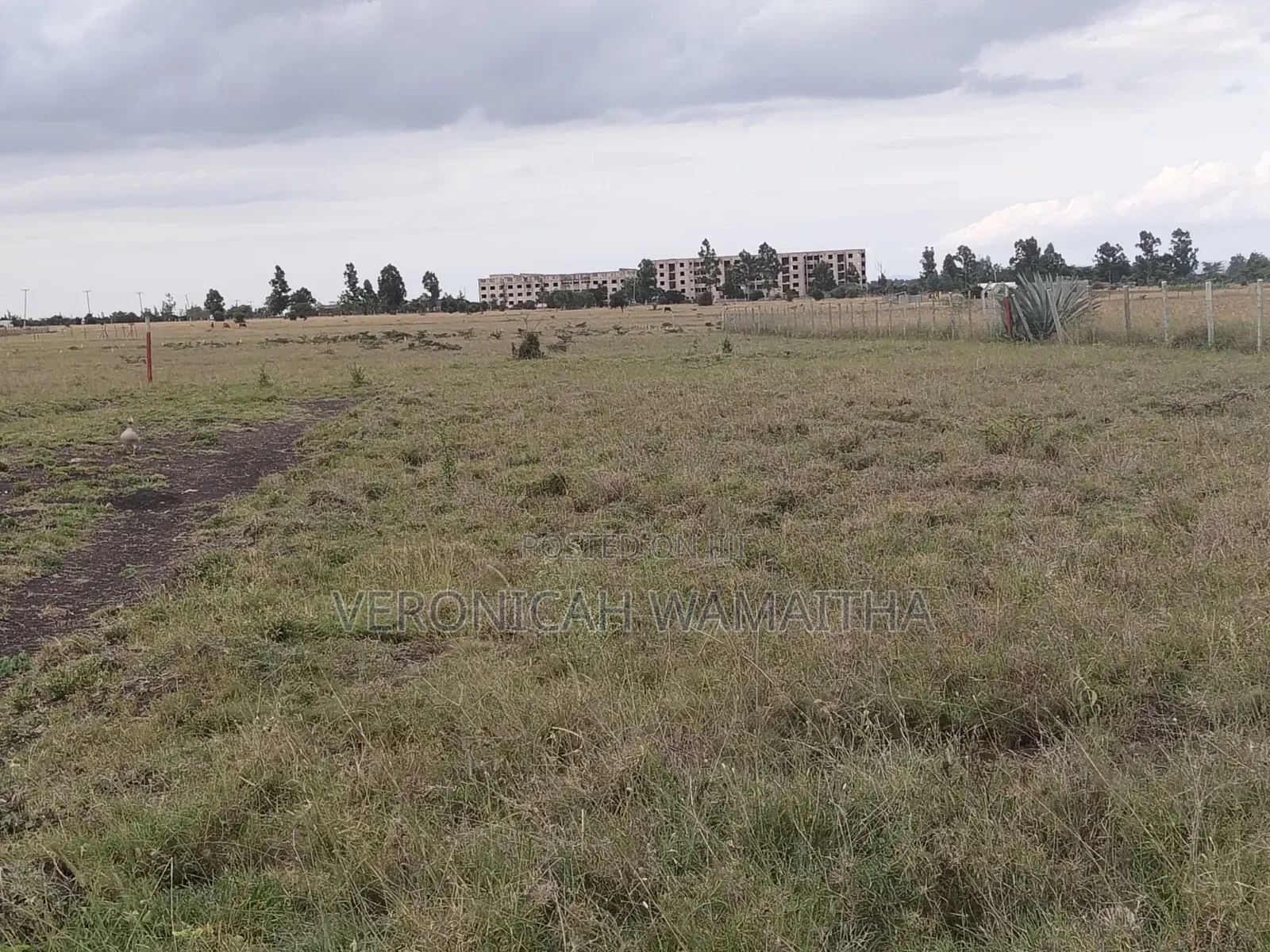 Plot for Sale in Kitengela