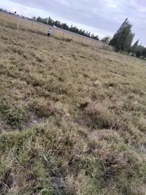 Plot for Sale in Kitengela