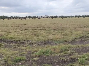 Plot for Sale in Kitengela