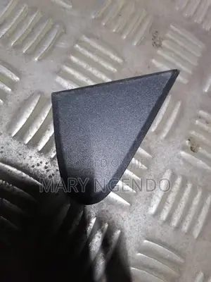 Nissan Day Sidemirror Finisher