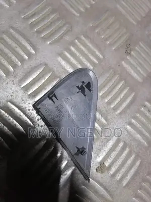 Nissan Day Sidemirror Finisher