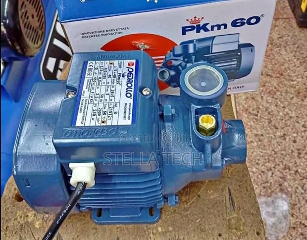 0.5 Pedrolla Booster Pump - main view