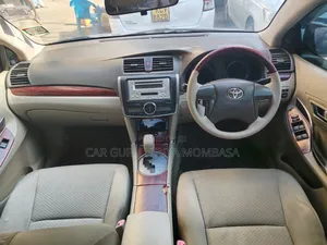 Toyota Premio 2011 Silver