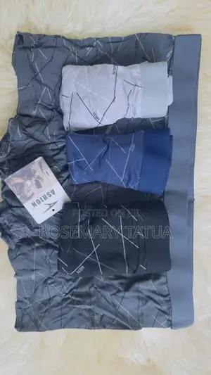 Men's Premium Ice Silk Boxer Briefs – Pack of 4
