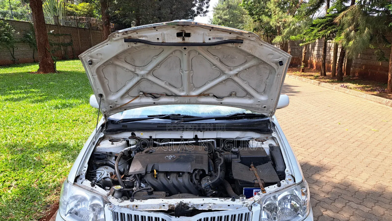 Toyota Corolla 2006 White