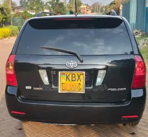 Toyota Corolla Fielder 2005 Black
