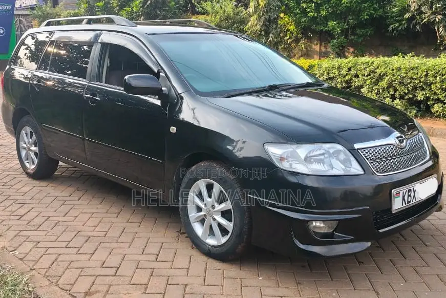 Toyota Corolla Fielder 2005 Black
