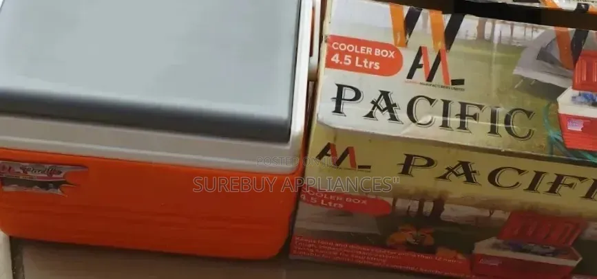 Portable Pacific 4.5L Ice Cooler Box – Food Storage