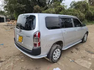 Toyota Probox 2010 Silver